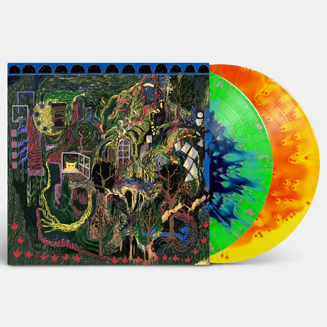 Demos 5 + 6 Venusian Swirl and Splatter LP (Bootleg By The Reverberation Appreciation Society)